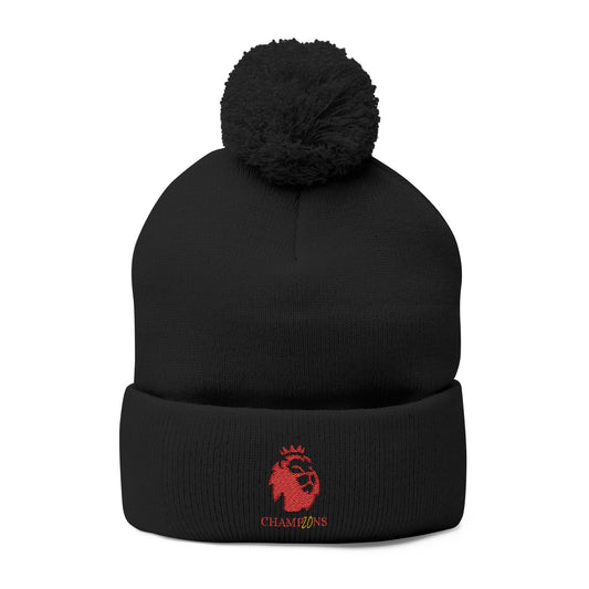 PL Champions 20 embroidered winter knitted hat
